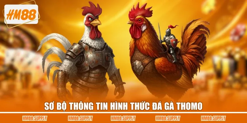 Sơ bộ thông tin hình thức đá gà Thomo